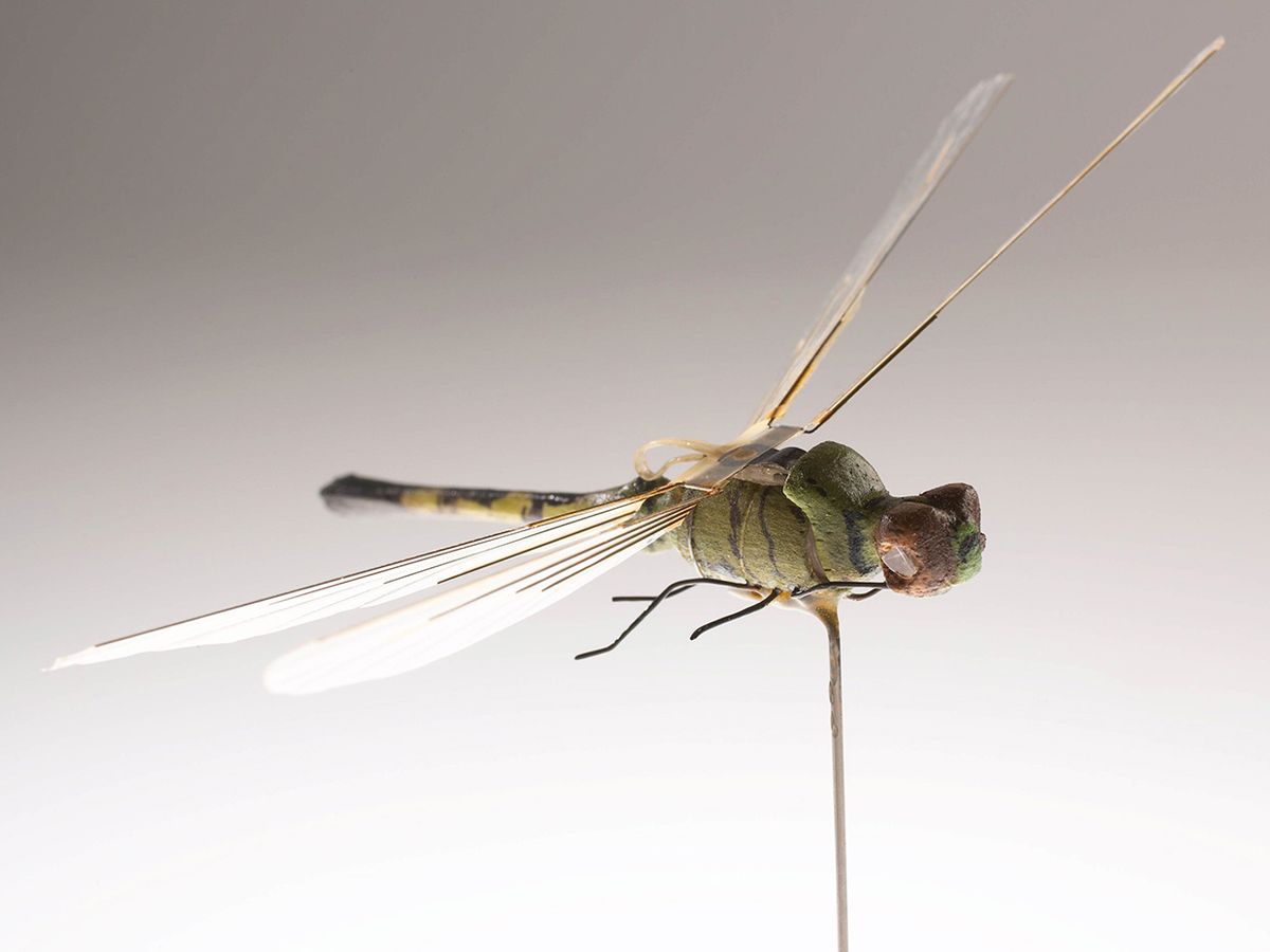 Photo of the Insectothopter.