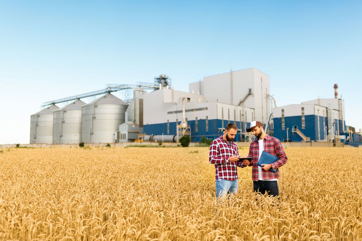 Photo of two farmers standing in a field of wheat.