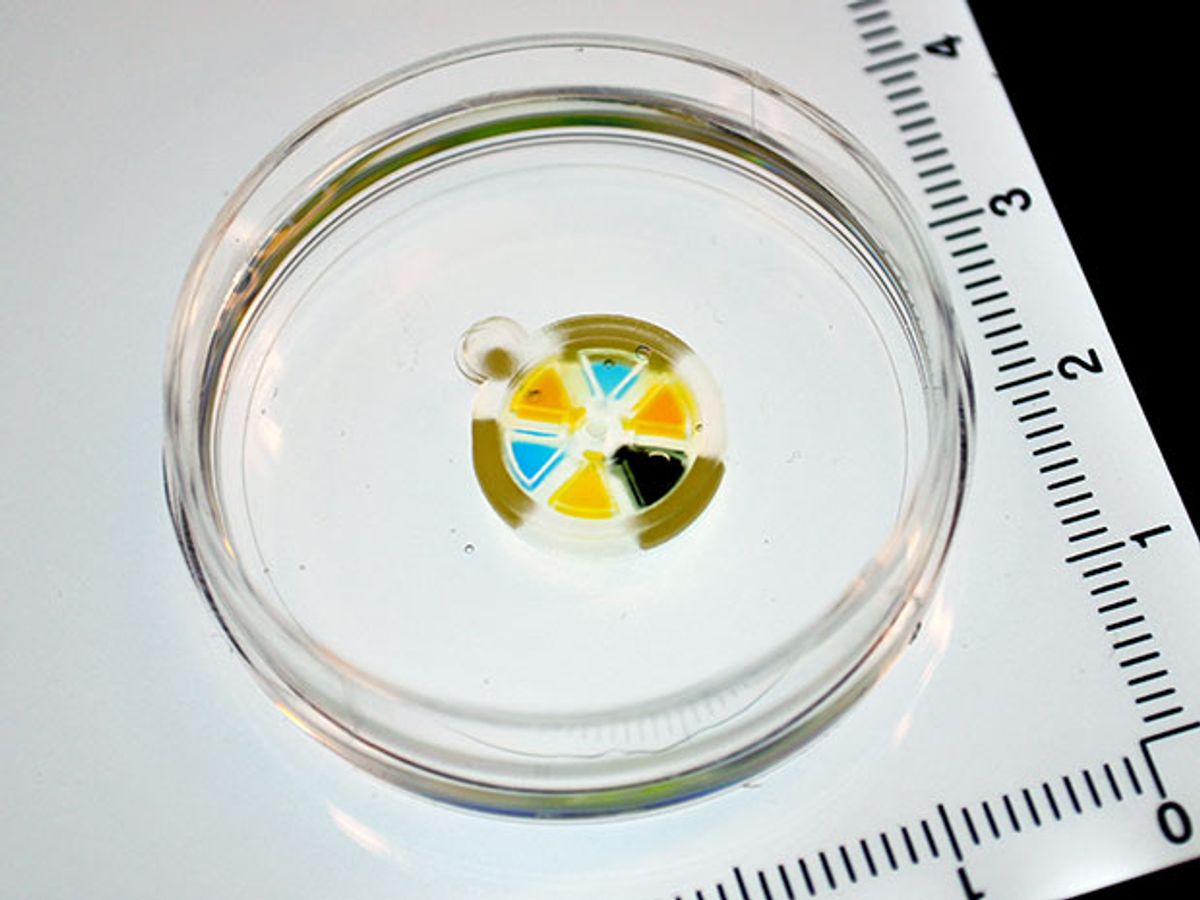 Photo shows a 15-mm rubbery micromachine that can be implanted in the body to deliver drug doses on command