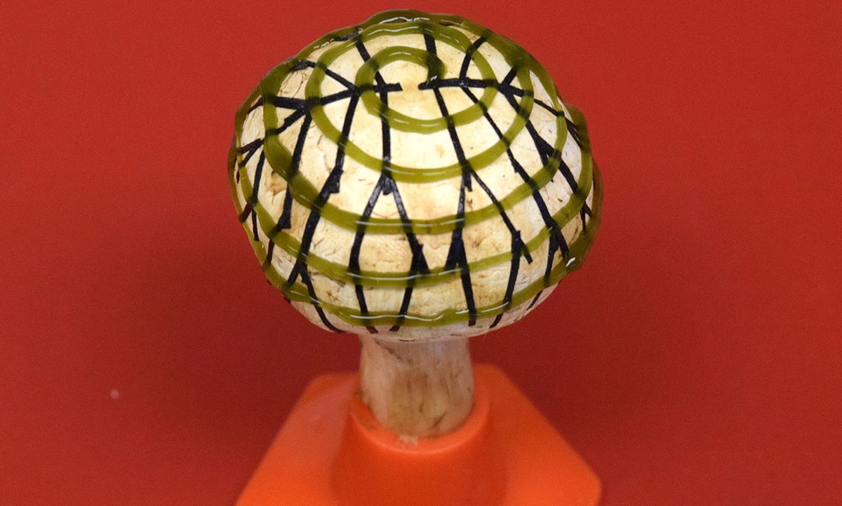 Photograph of a white button mushroom equipped with 3D- printed graphene nanoribbons (black), which collect electricity generated by densely packed 3D-printed cyanobacteria (green).