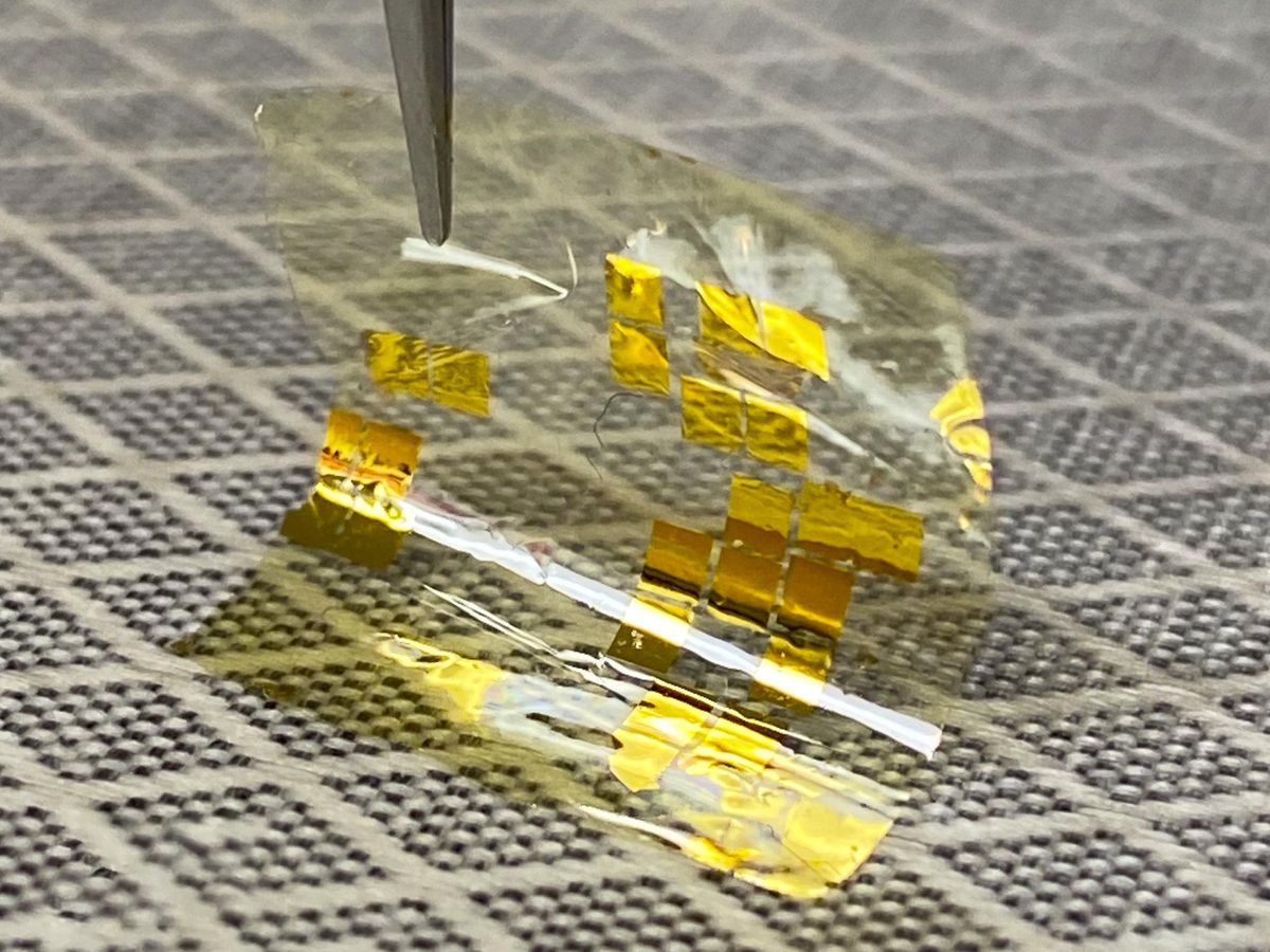 Photograph of WSe2 solar cells on a flexible polyimide substrate held up with a pair of tweezers.