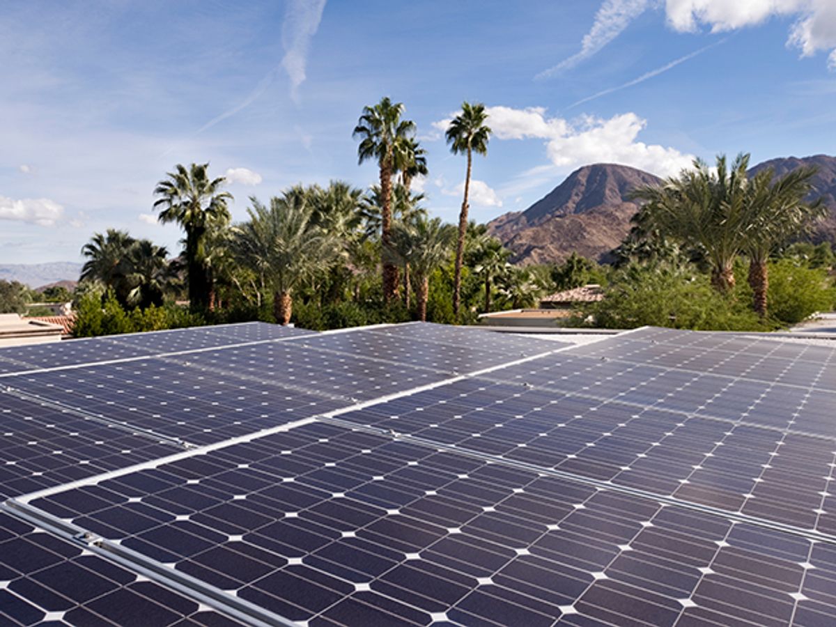 Photovoltaic panels near some palm trees
