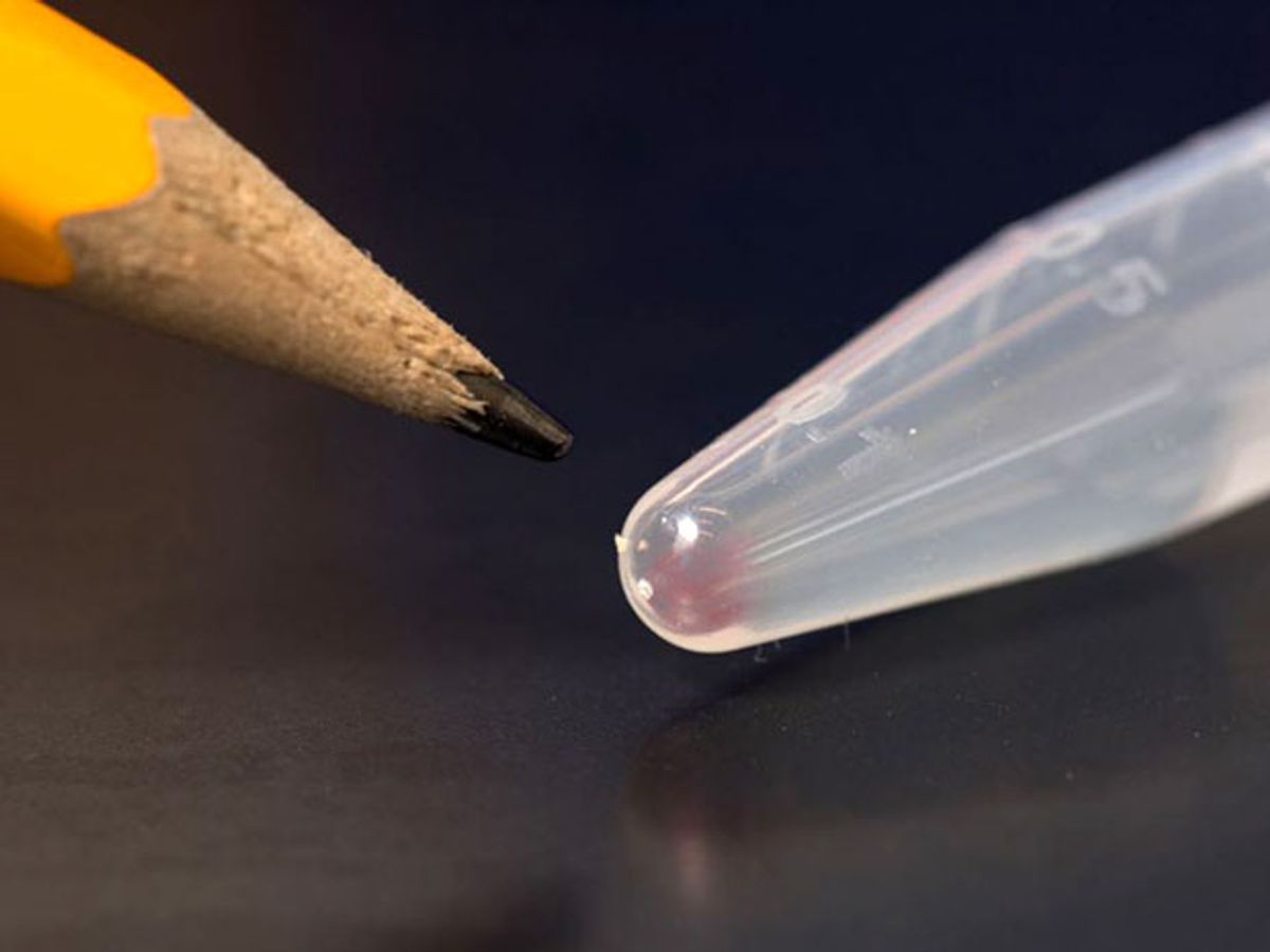 Pink smear at the bottom of a test tube is DNA encoding 200 megabytes of data. A pencil tip beside it for comparison