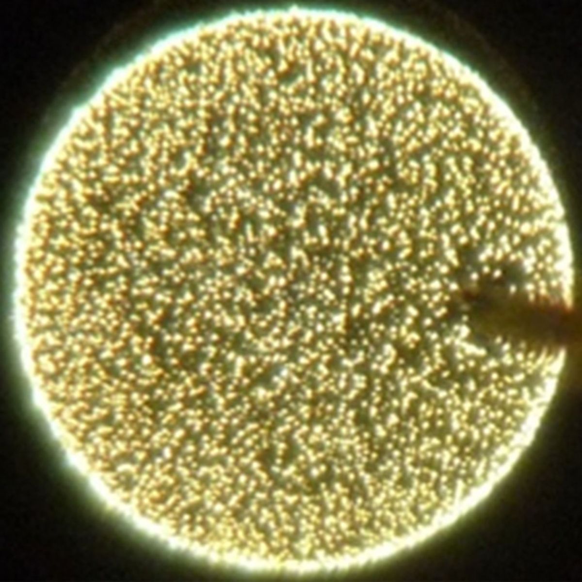 Meet The Microscopic Light Bulb