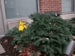 Pokemon Go creature frolics in bushes