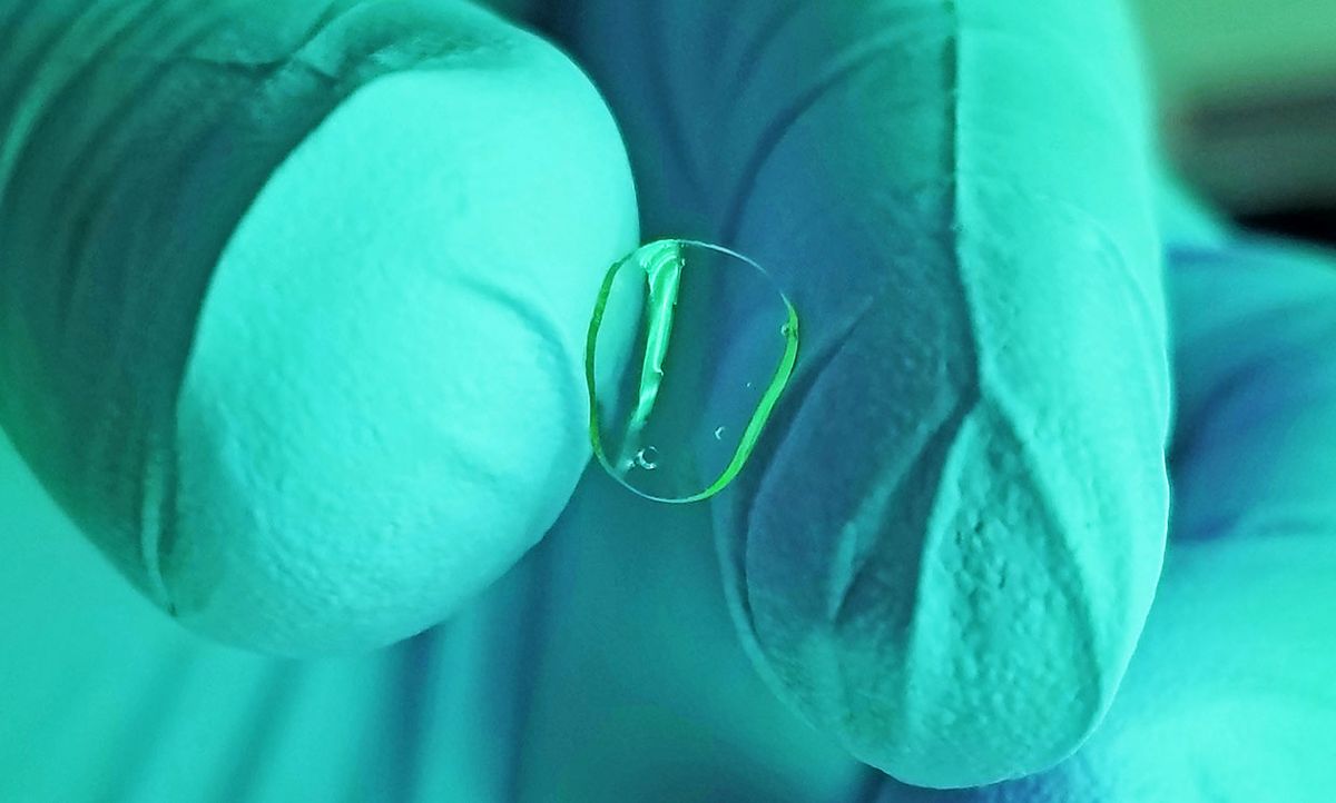 Precise Bio's cornea shown between two gloved fingers.