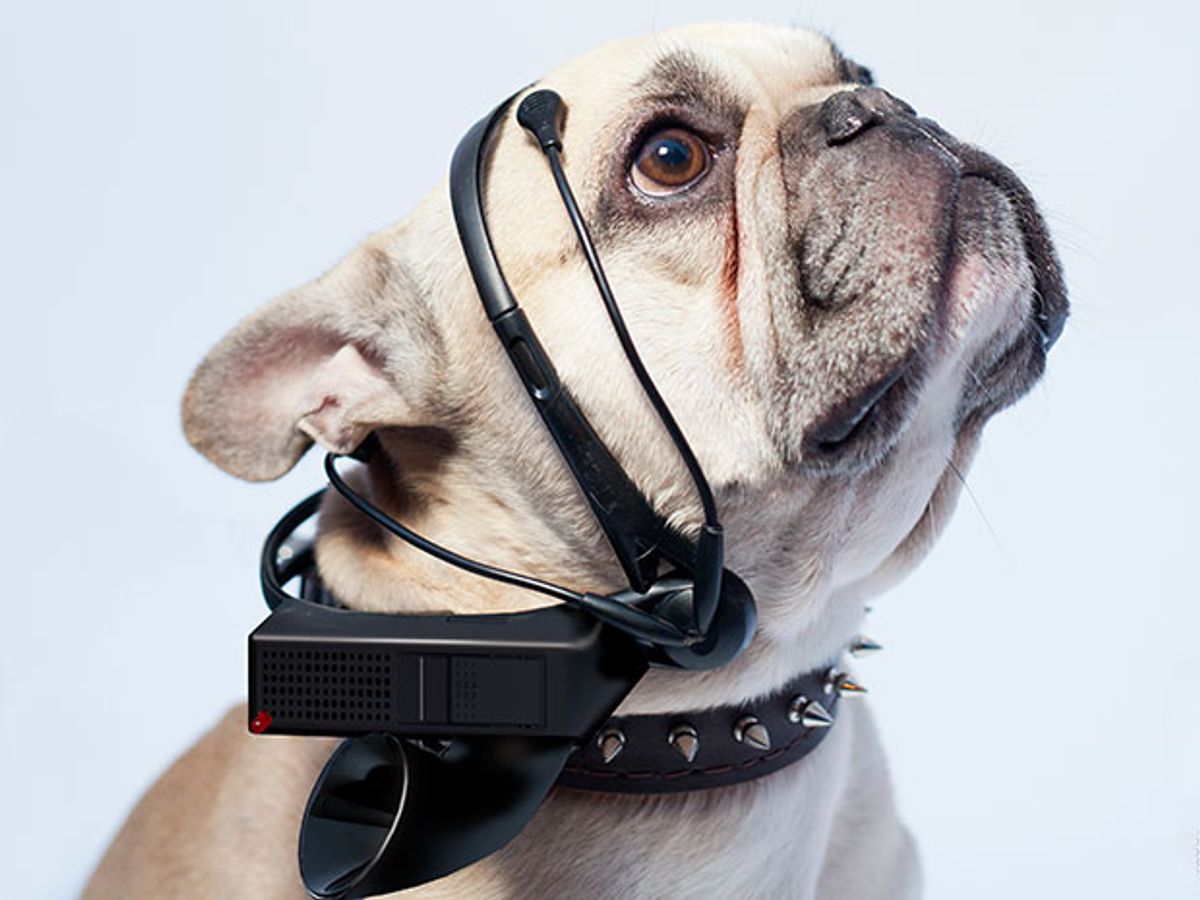 Publicity photo shows a dog wearing the No More Woof headset