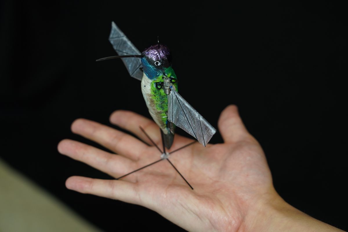 Purdue's Hummingbird Robot