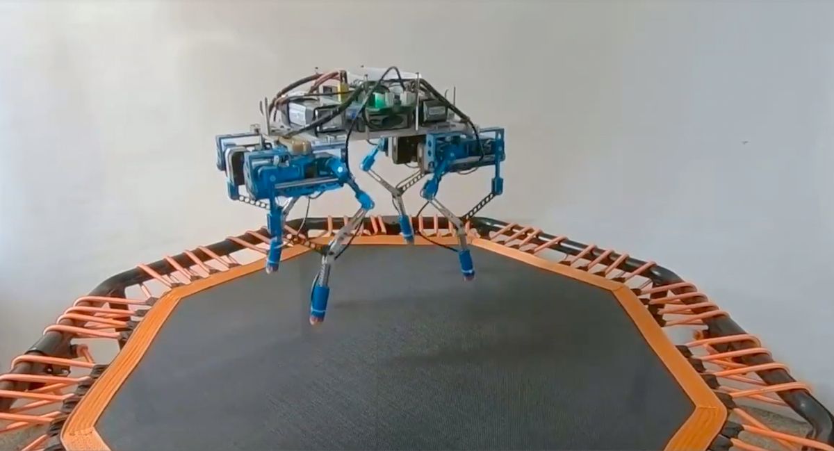 Quadruped Robot on a Trampoline