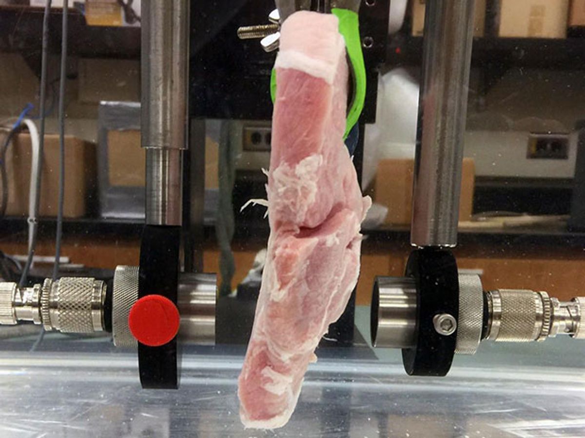 Ultrasonic Signals Transmit Data Through Meat at HD Video Quality