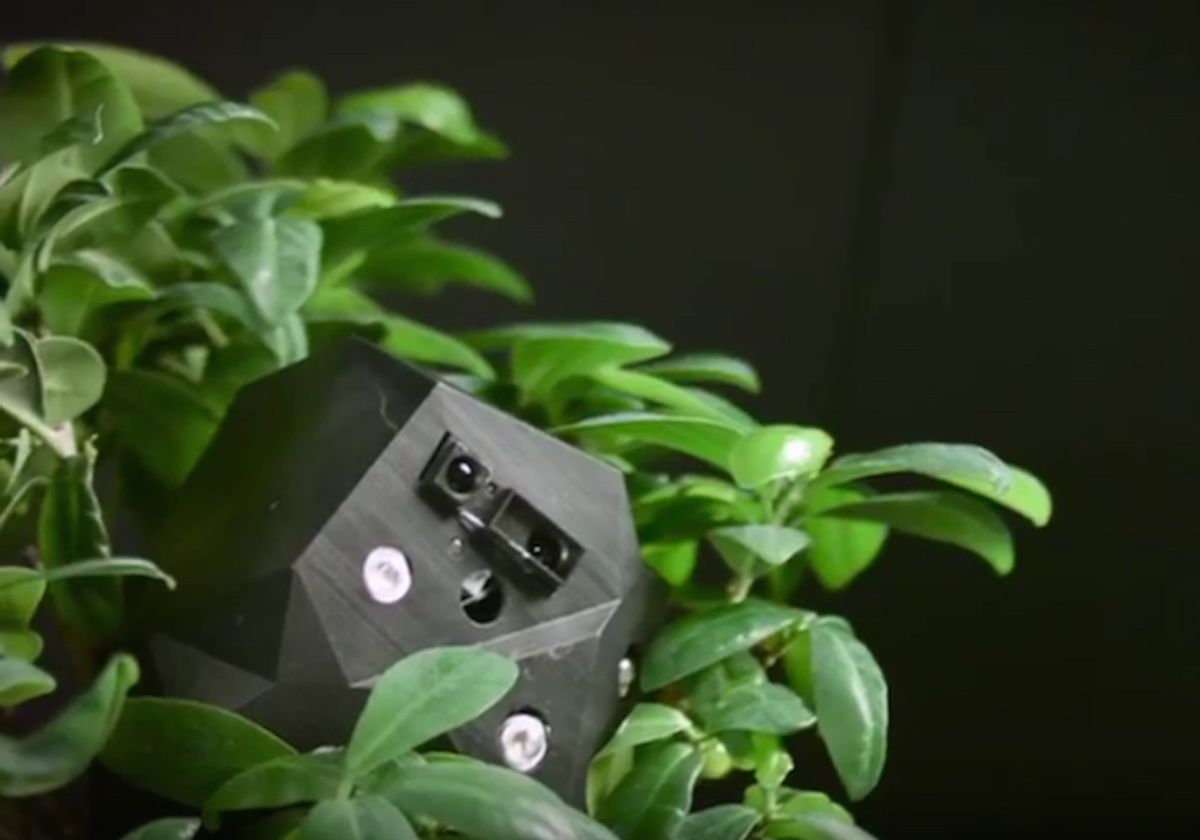 Researchers are developing robot-plant biohybrids