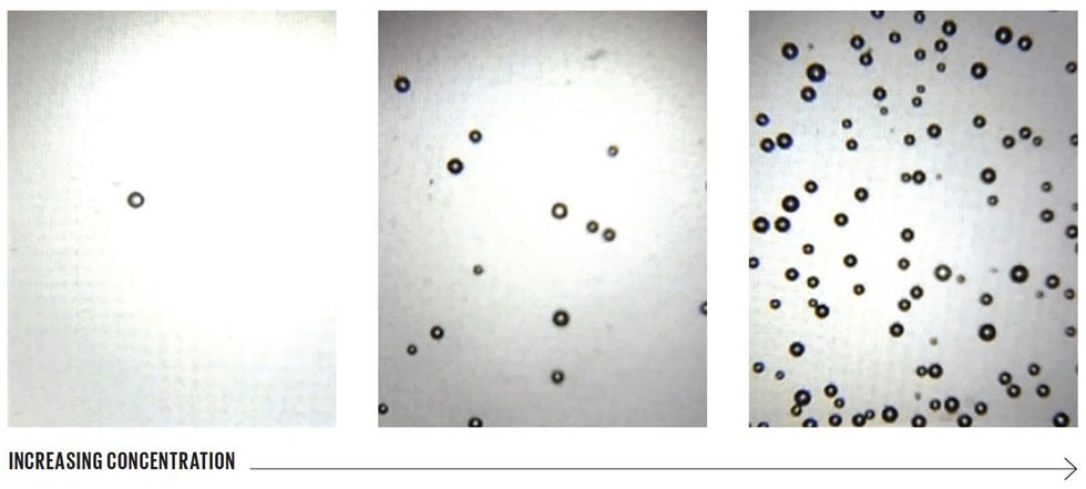 Researchers at the University of Pennsylvania explored the intrinsic sensitivity of their microbubbling assay by taking smartphone images of their chip after exposing it to different concentrations of platinum nanoparticles. The number of bubbles produced grows with the increasing concentration of those particles. The researchers also showed that the number of bubbles grows with the increasing concentration of the targeted protein in the sample.