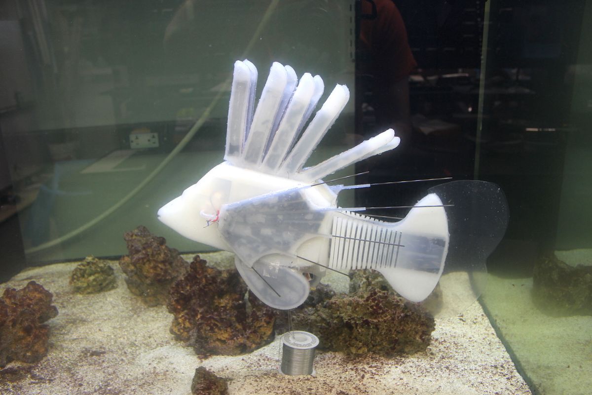 Researchers from Cornell and the University of Pennsylvania developed a robotic fish that uses synthetic blood pumped through an artificial circulatory system