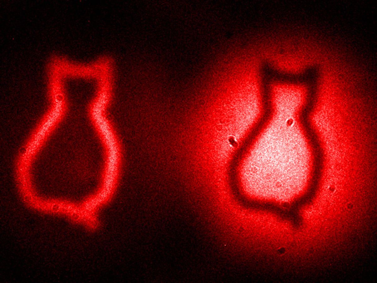 Quantum Entanglement Camera Images Object With Photons That Never Come Near It