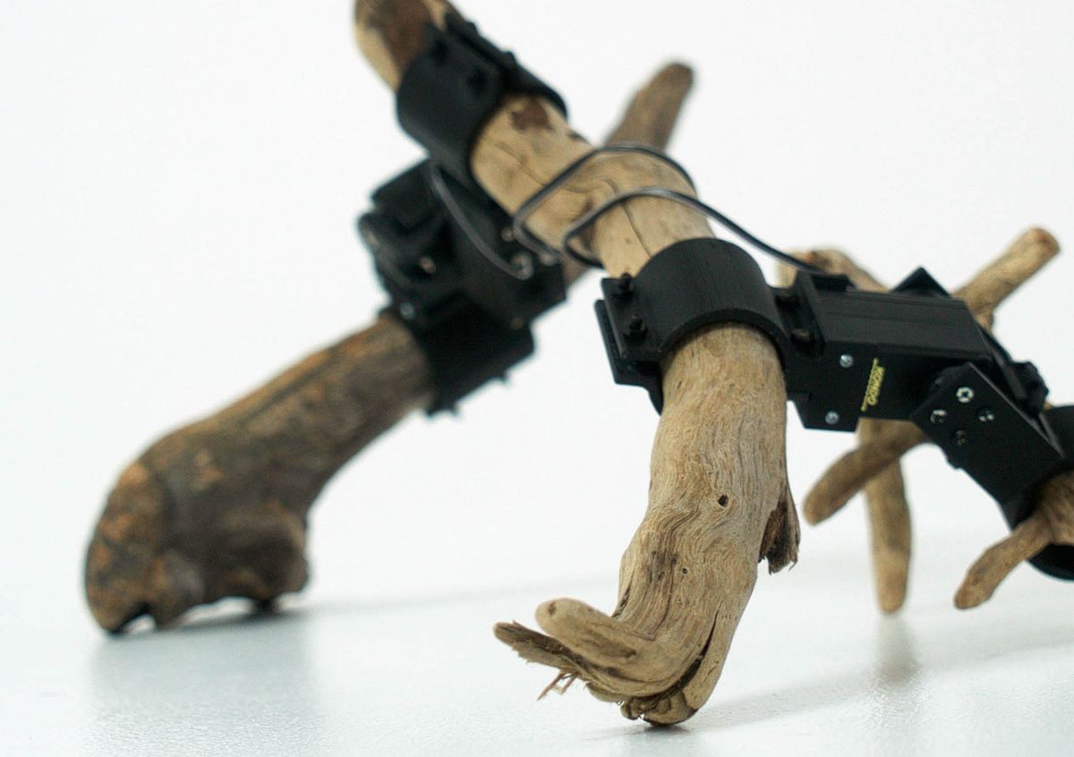 Robot Made Out of Branches Uses Deep Learning to Walk