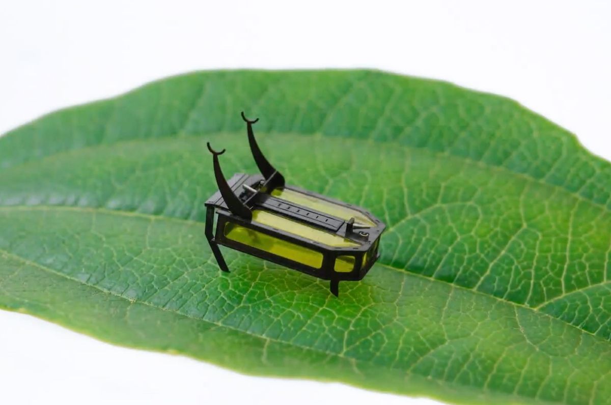 Robotic beetle powered by fuel