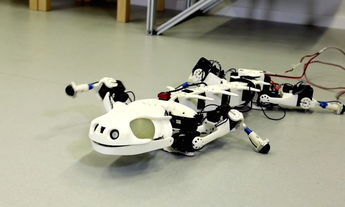 Robotic salamander built at EPFL