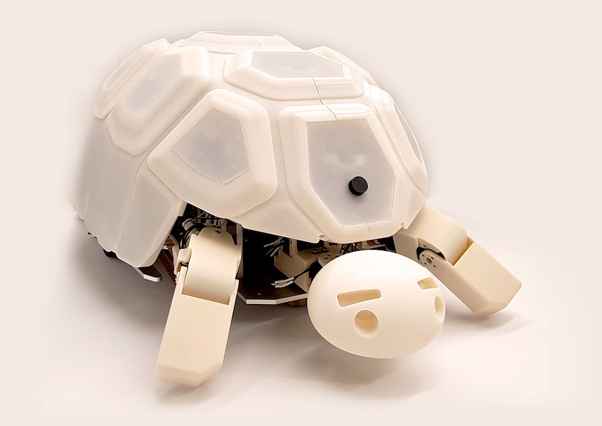 Robotic Tortoise Helps Kids to Learn That Robot Abuse Is a Bad Thing