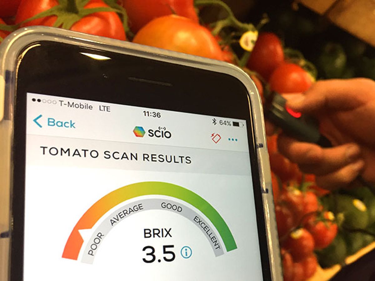 Scanning tomatoes at Whole Foods with the handheld SCiO spectrum analyzer--the system pronounces the quality 'poor'