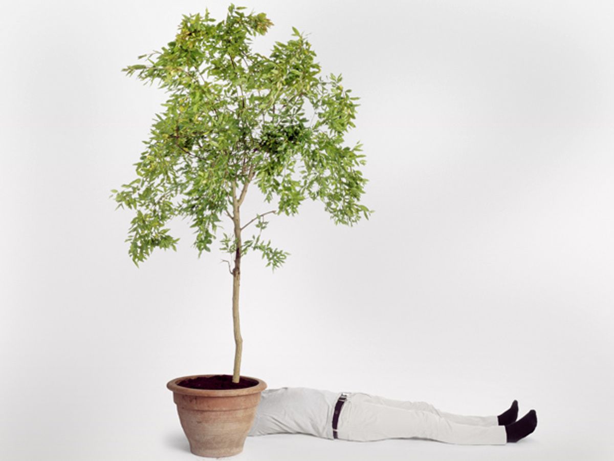 Scene of a tree in a large plant container, and a man laying on the ground behind it.