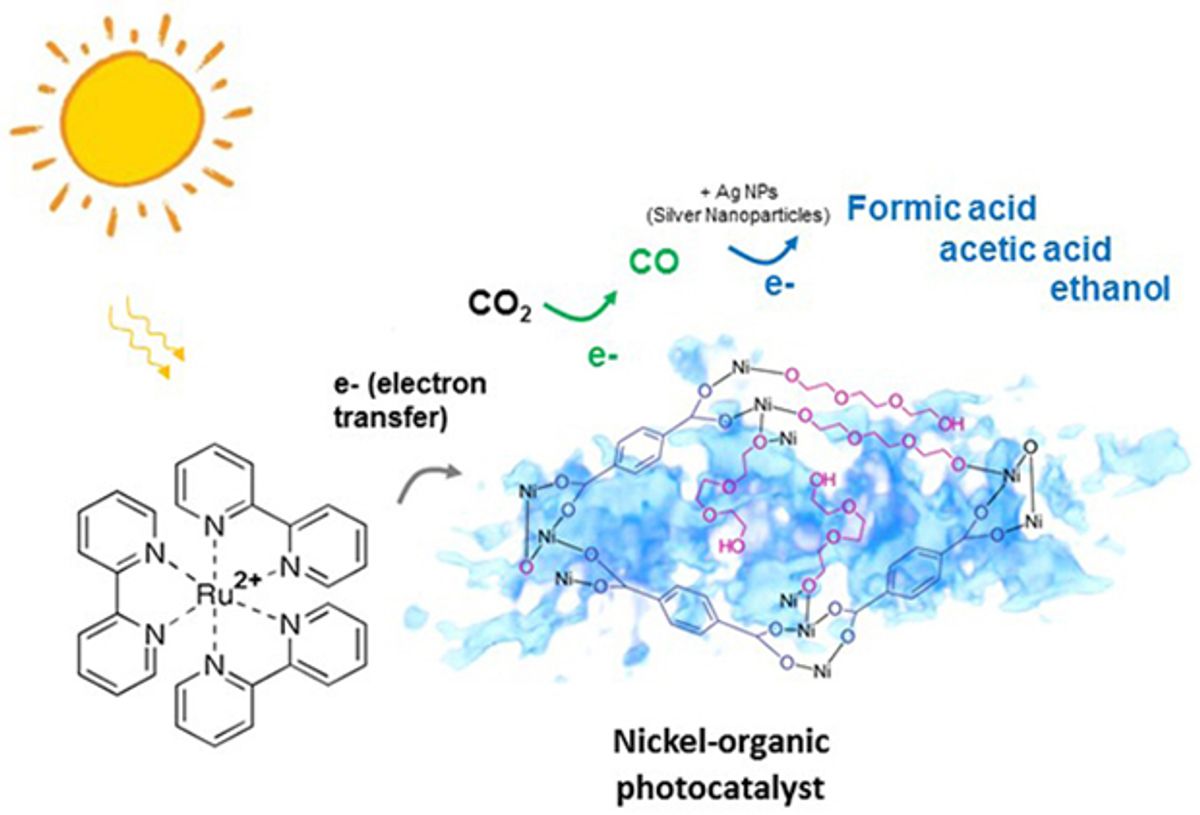 Schematic of a spongy nickel-organic photocatalyst converting carbon dioxide exclusively into carbon monoxide, which can further be converted to high-value liquid fuel through visible light-induced photocatalysis.