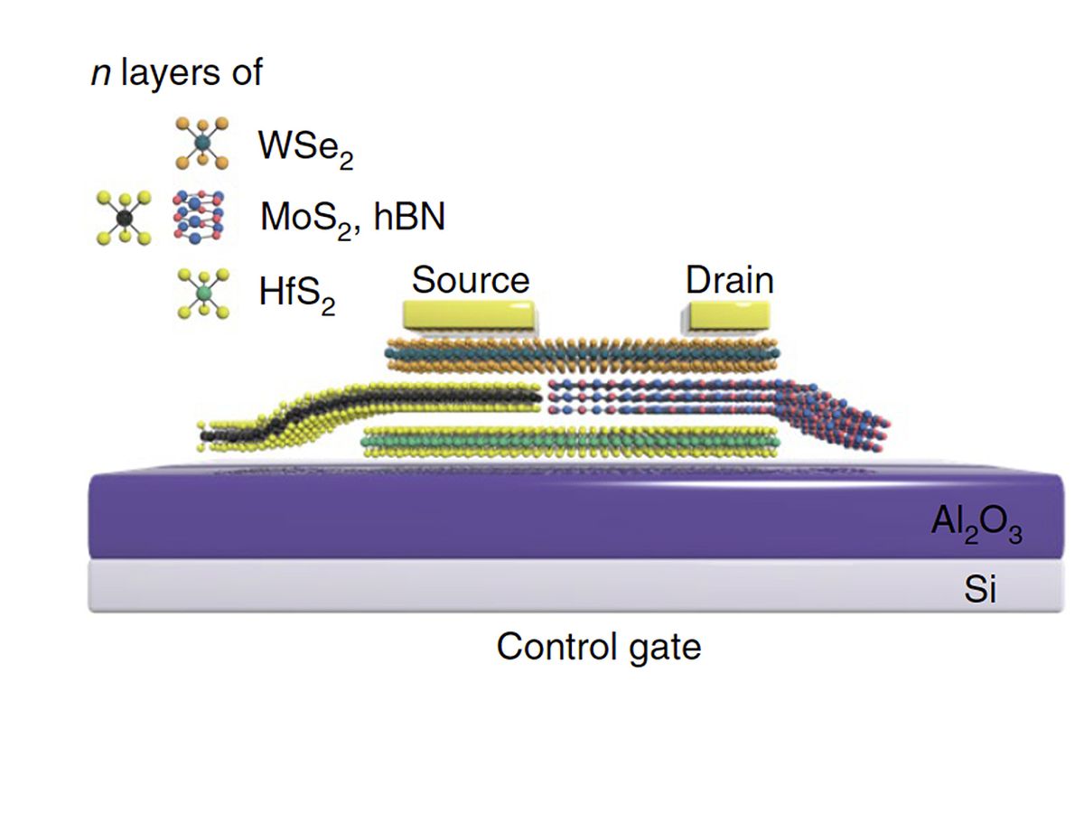 Schematic structure of the 2D SFG memory