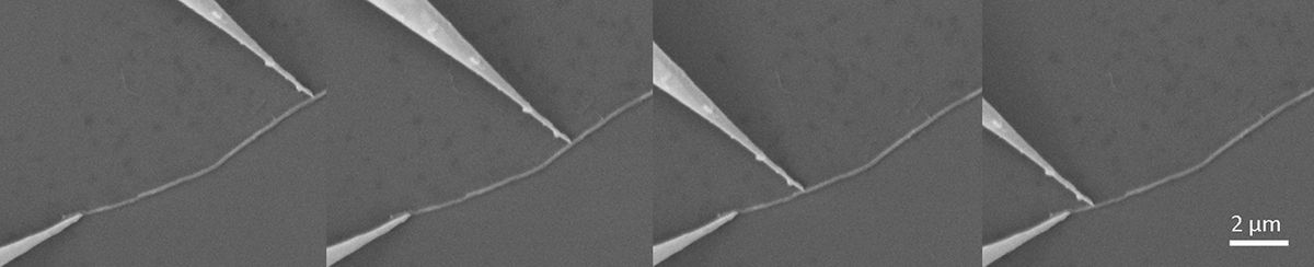 Scientists at Rice and Swansea universities used tungsten probes attached to a scanning tunneling microscope to test the conductivity of carbon nanotubes before and after treatment to decontaminate them.