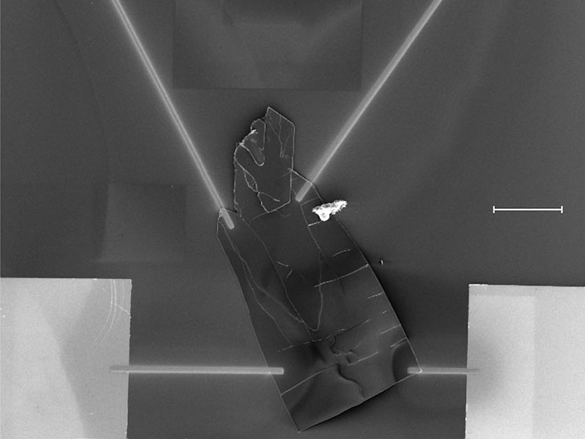 SEM image of the device. It consists of a p-Si/SiO2 wafer onto which a MOFCoNDI- py-2 single crystal is connected to Au pads. Scale bar = 100 μm