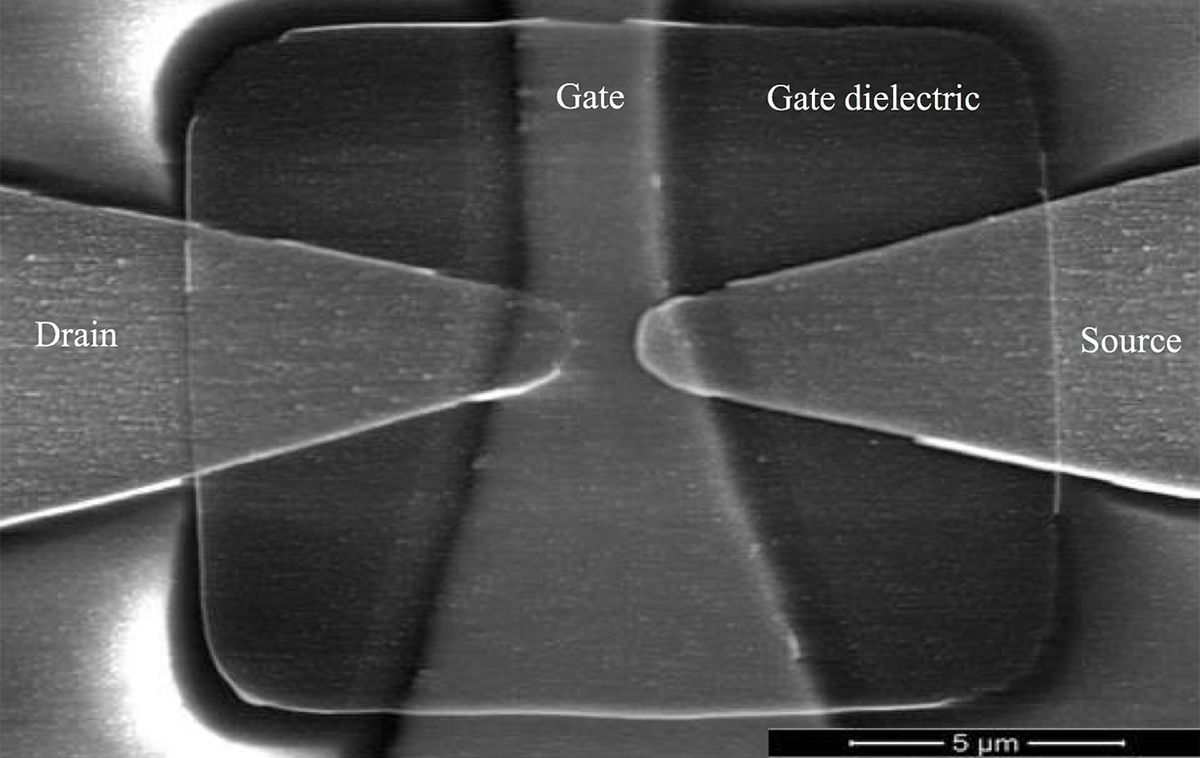 SEM image of the fabricated open-channel device. The channel length (drain-source distance) is 1 μm.