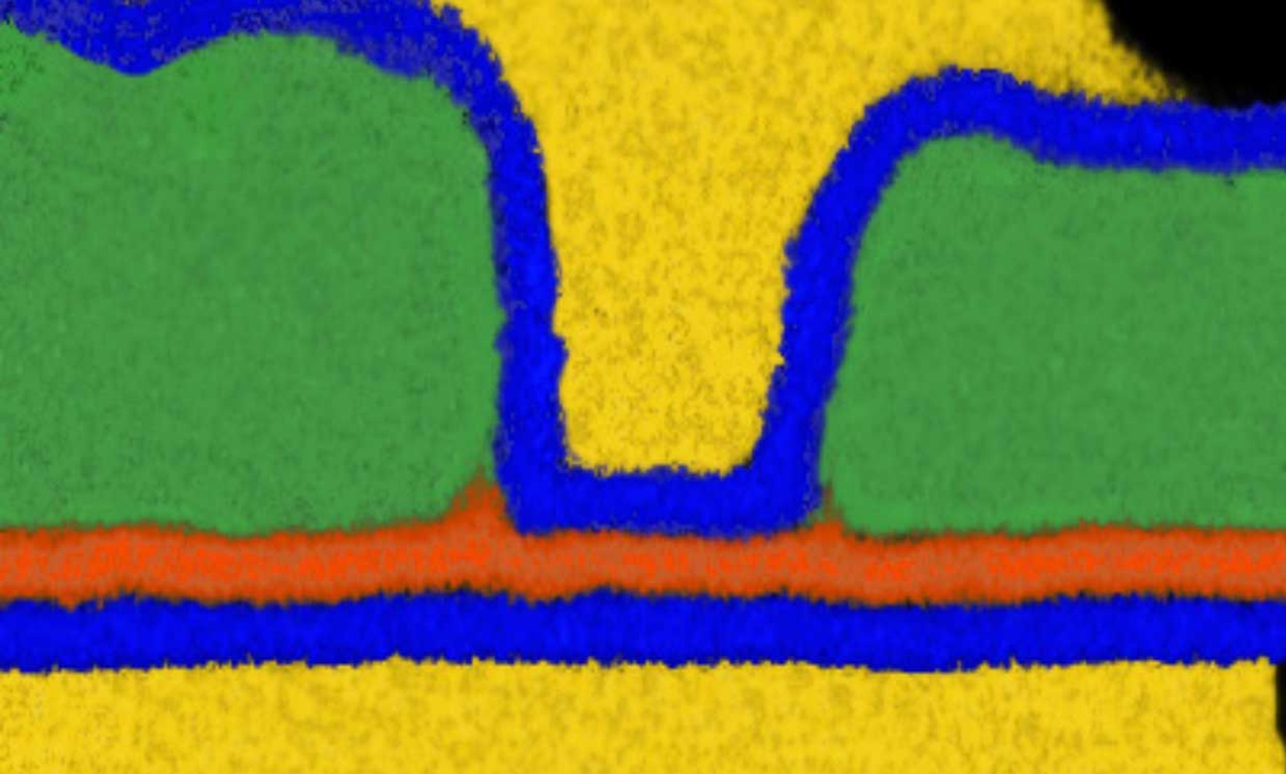 SEM of transistors in the capacitorless include a tungsten-doped indium oxide [orange] semiconductor, palladium top and bottom gates [yellow], nickel source and drain electrodes [green] and hafnium oxide dielectrics [blue].