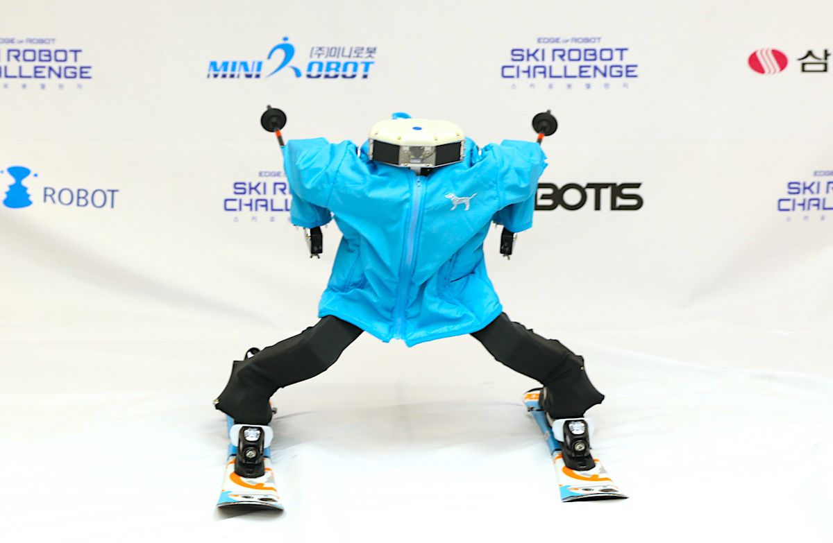 Ski Robot Challenge