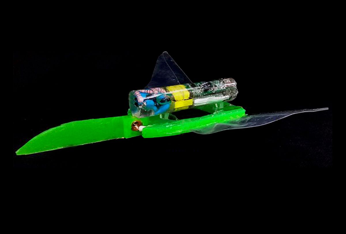Soft Robotic Swimmer Is Fast, Resilient and Electric Shock-Free