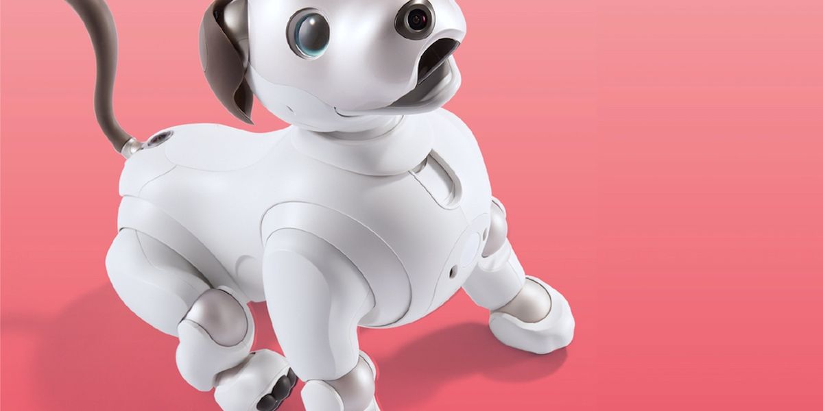 How to Program Sony's Robot Dog Aibo