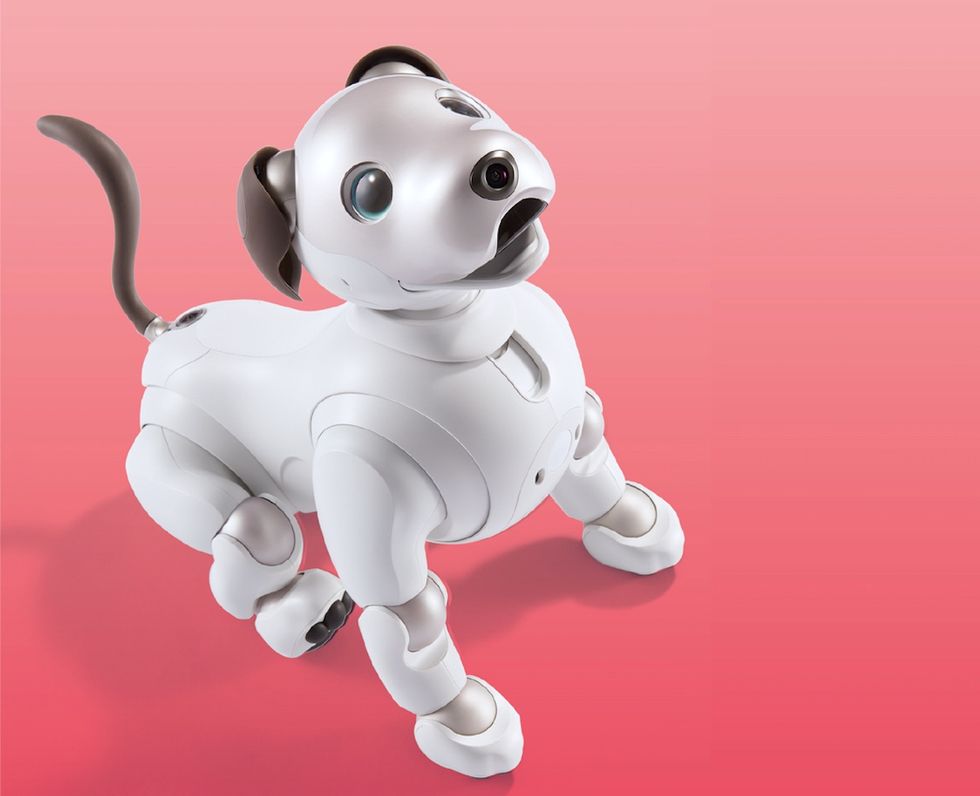 Program Sony's Robot Dog Aibo -