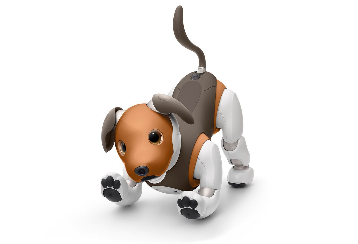 Sony's Aibo robot dog, chocolate edition