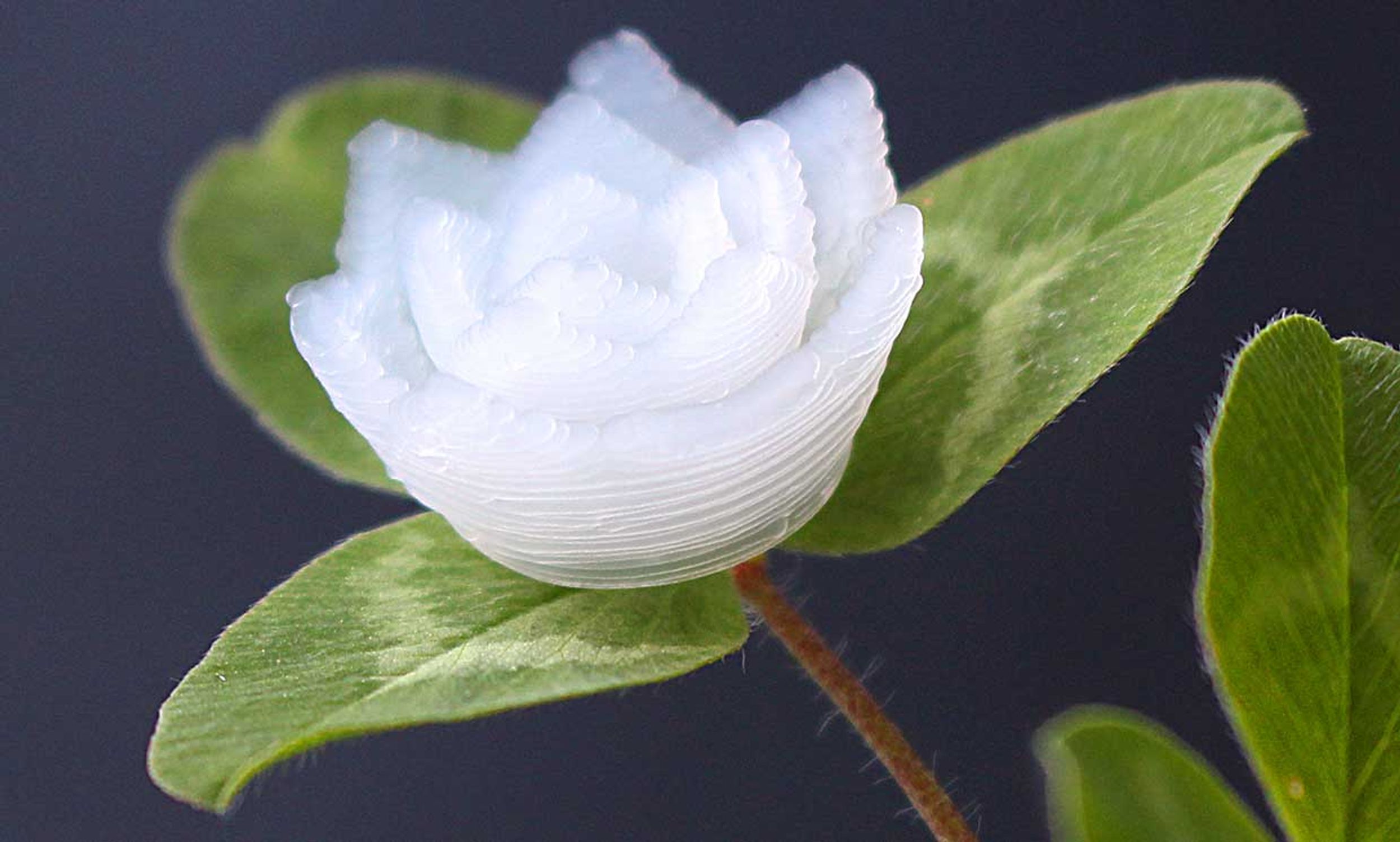 The researchers demoed a tiny lotus flower printed in aerosol gel, measuring about four mm across with the petals about a millimeter thick.