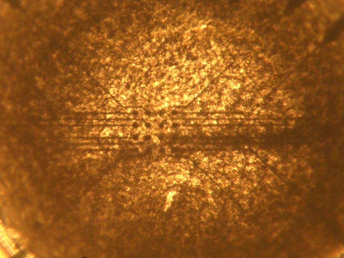 This optical micrograph shows a micro-electrode array below a mixture of single-walled-carbon-nanotubes with liquid crystals.