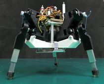 Martian-Inspired Tripod Walking Robot Generates Its Own Gaits
