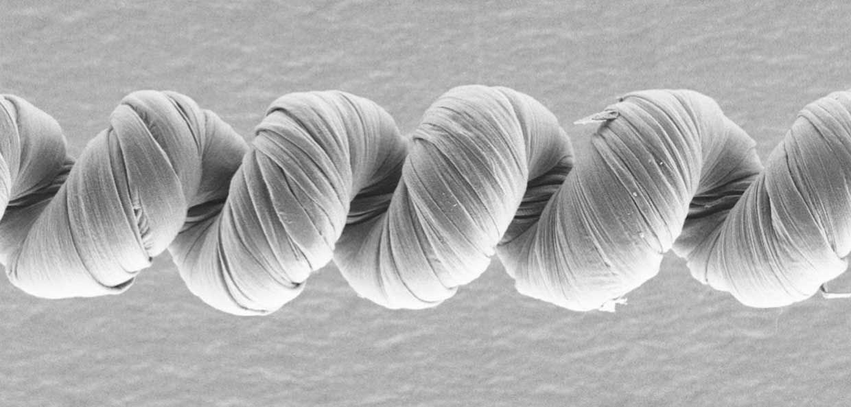 This scanning electron microscope image shows a coiled artificial "muscle" made from carbon nanotubes and coated with poly(sodium 4-styrenesulfonate).