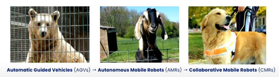 Three panels showing a picture of a bear in a cage, a goat, and a service dog, with the labels "Automatic Guided Vehicles," "Autonomous Mobile Robots," and "Collaborative Mobile Robots"