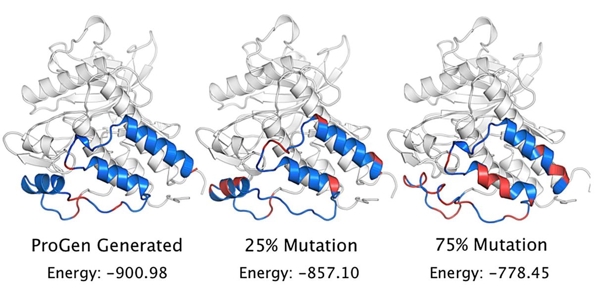 Three protein structures labelled ProGen Generated, 25% Mutation and 75% Mutation. The first shows a mostly blue section, with each version showing more red.
