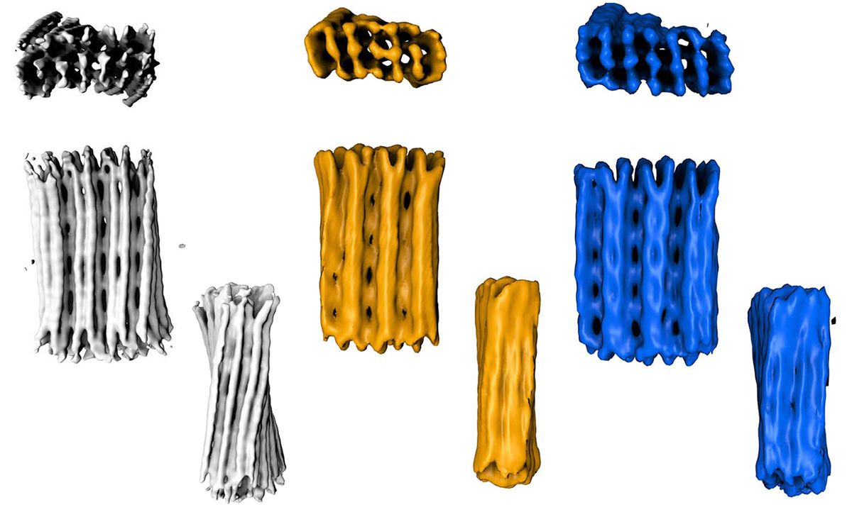Three sets of images, colored grey, orange and blue, showing how the DNA nanostructures become stronger with more covalent bonds.