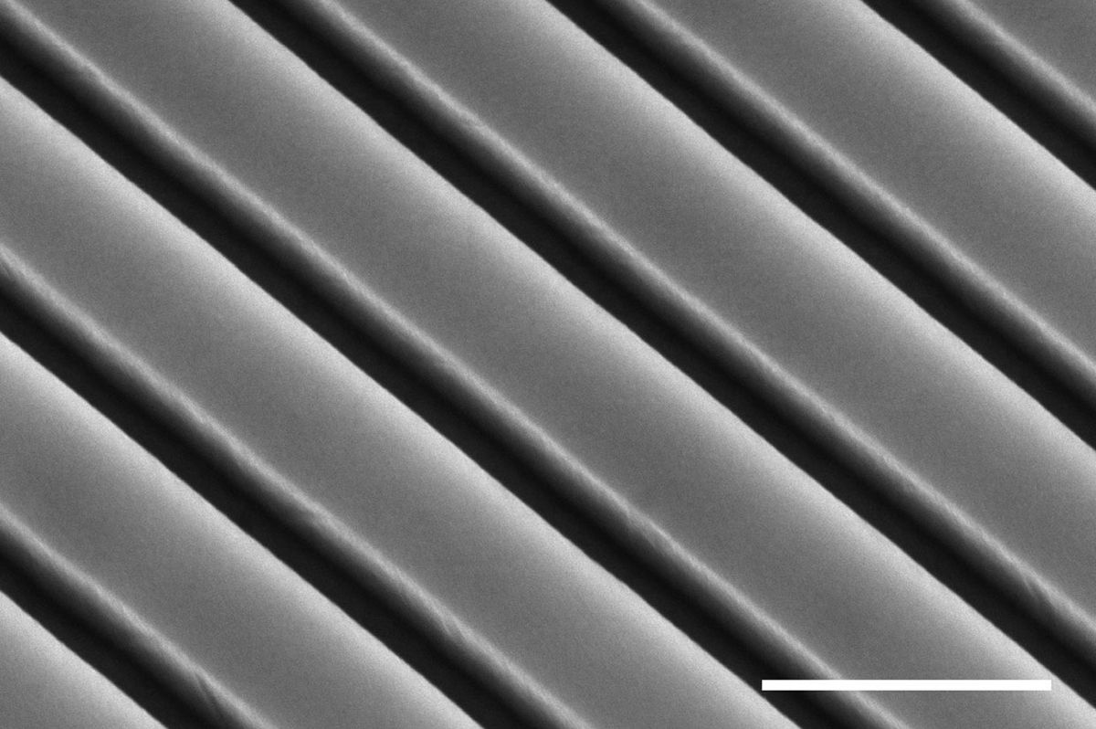 Tilted SEM image of the Si metasurface performing the second-derivative operation. The scale bar is 400 nm.