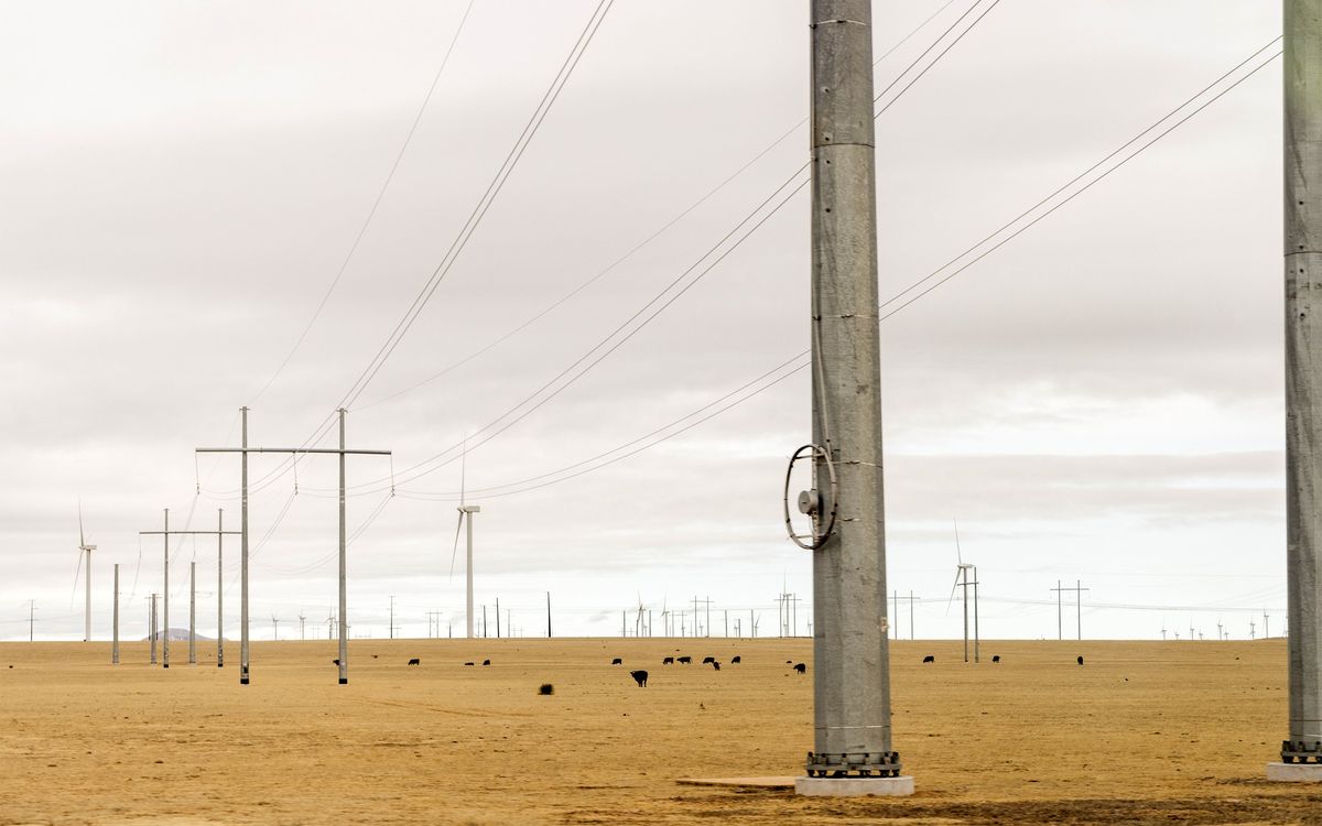 Transmission lines and wind turbines in an open plain with grazing cattle.
