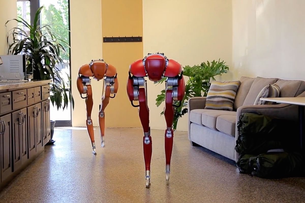 Two Cassies, a bipedal robot developed by Agility Robotics, visit the office