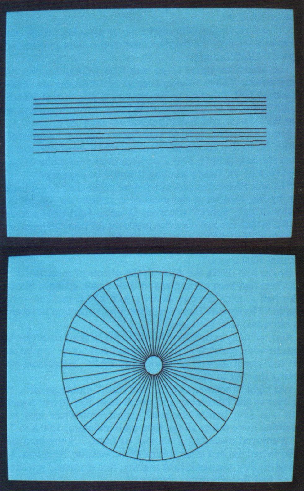 Two computer screens, one showing sets of nearly parallel lines and one showing lines in a wheel pattern