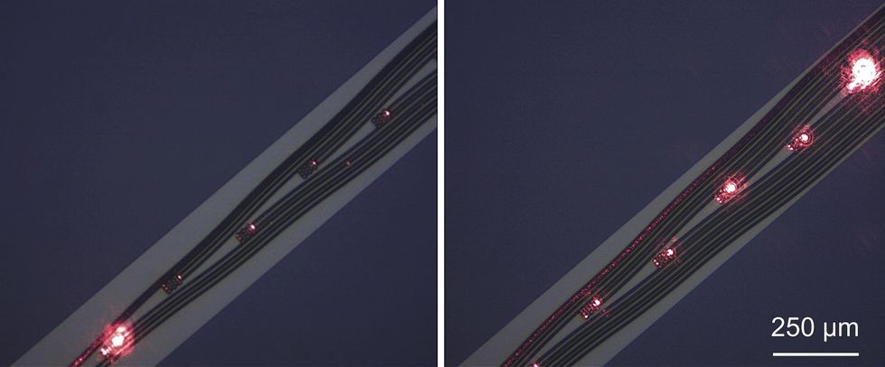 Two micrograph images show thin black tubes of varying lengths with tips that glow with a reddish light. 
