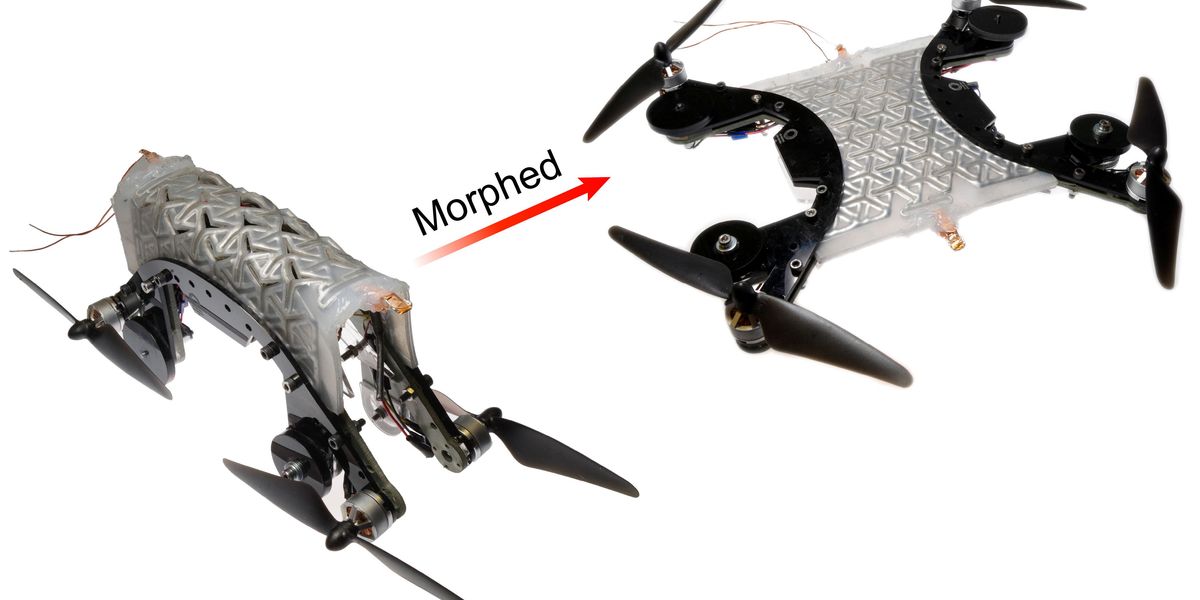 Shapeshifting Robots Adapt with Cleverly Designed Bodies, Grippers