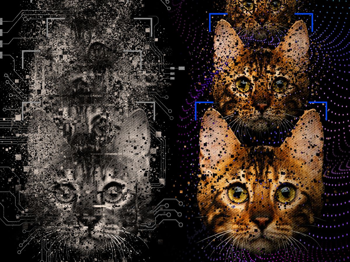 Two sets of iterations of images of a cat. On the left, the images are grayscale and even the sharpest front iteration is pixellated and incomplete. On the right, the cat is in color, sharp and each version is relatively complete.