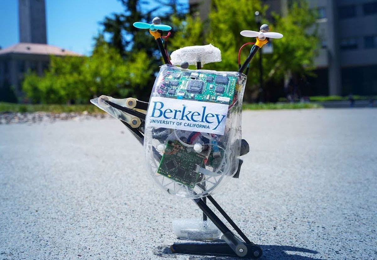 UC Berkeley jumping robot Salto